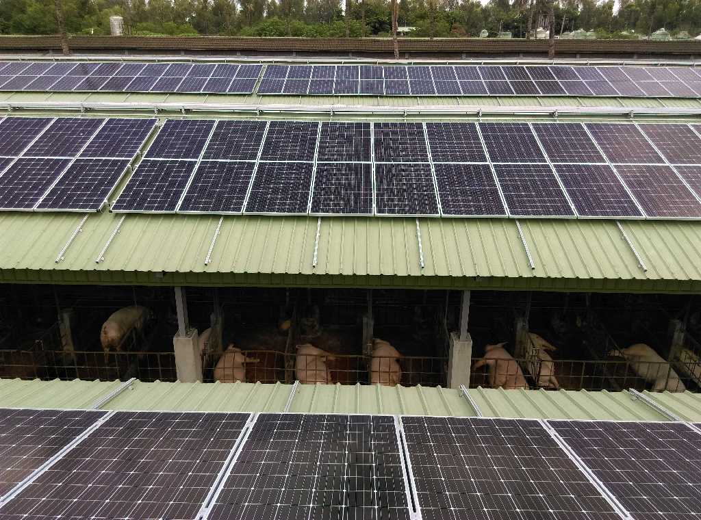 大亜グループ再生エネルギー発電所、安定的に穩健発展 台糖と手を取り畜殖事業部でグリーン環境を共に創造