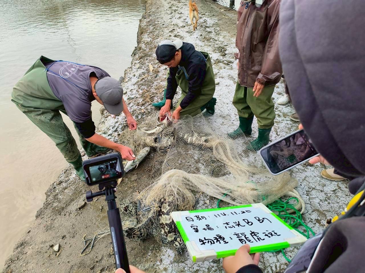 志光能源一期渔电共生案场全区取得水产品产销履历 首例渔电共生集团式验证 超前部署符合渔电共生新制要求