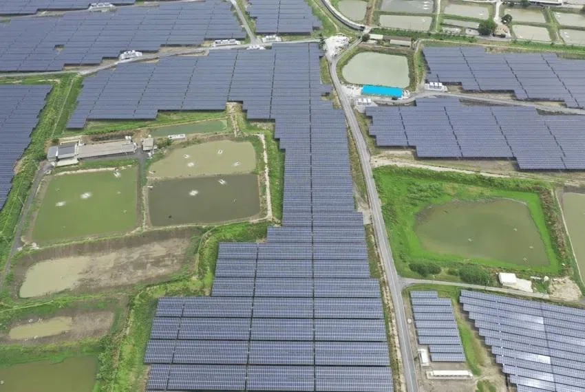 十年磨一劍，老牌電纜廠大亞蓋出全台最大漁電共生王國【天下永續會報導】