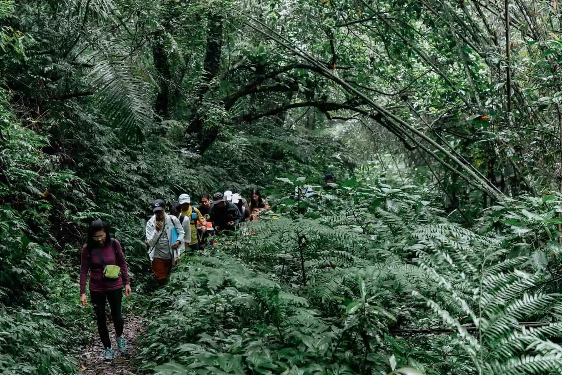 ⽤雙腳與土地對話——大亞電線電纜攜手VERSE及台灣千里步道協會,舉辦⼿作步道健⾏體驗 ⽤雙腳與土地對話——大亞電線電纜攜手VERSE及台灣千里步道協會,舉辦⼿作步道健⾏體驗