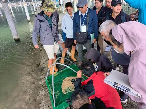 志光能源一期渔电共生案场全区取得水产品产销履历 首例渔电共生集团式验证 超前部署符合渔电共生新制要求