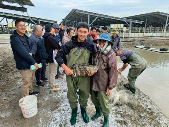 志光能源一期渔电共生案场全区取得水产品产销履历 首例渔电共生集团式验证 超前部署符合渔电共生新制要求