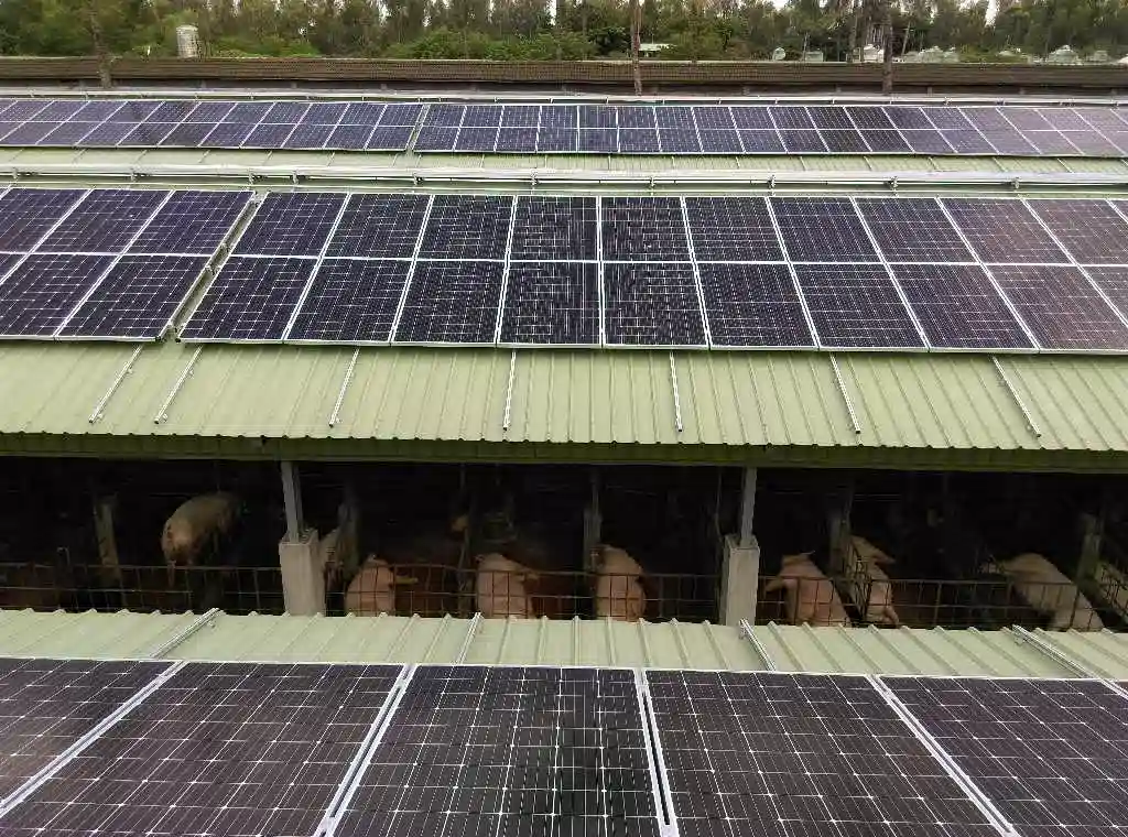 大亞集團再生能源電廠穩健發展　攜手台糖畜殖事業部共創綠境