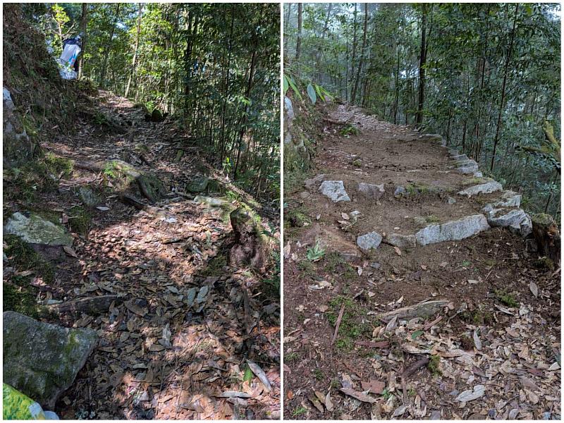 企業攜手維護山林 大雪山手作步道修復 企業攜手維護山林 大雪山手作步道修復