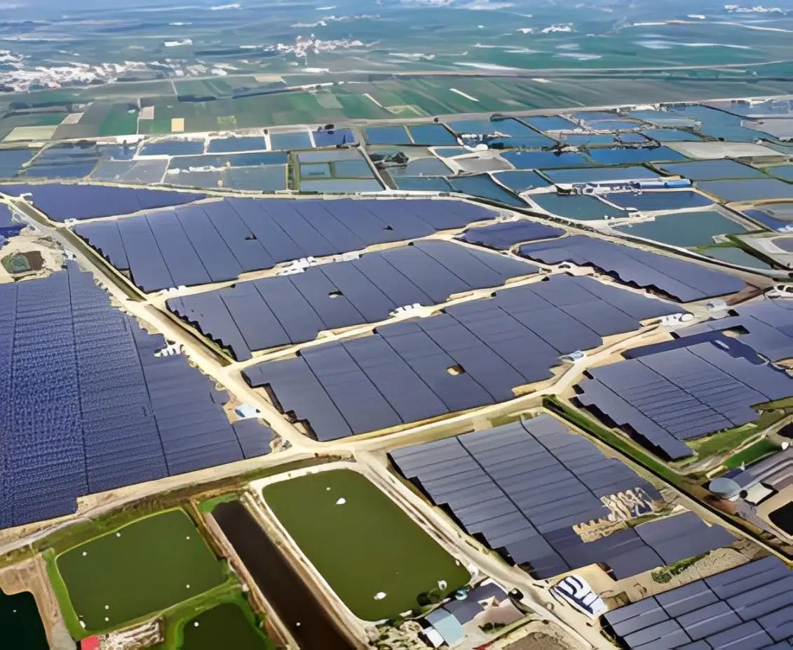 心忠學甲76MW